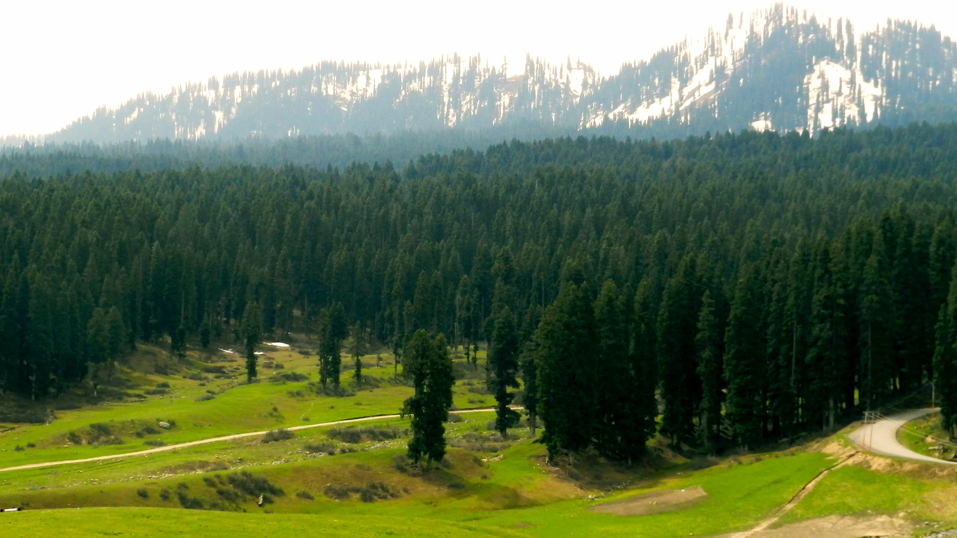 4) Doodhpathri - The Valley of Milk