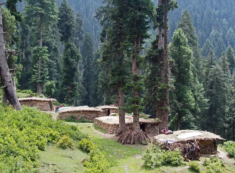 10) Daksum Valley - The Whispering Pine Paradise